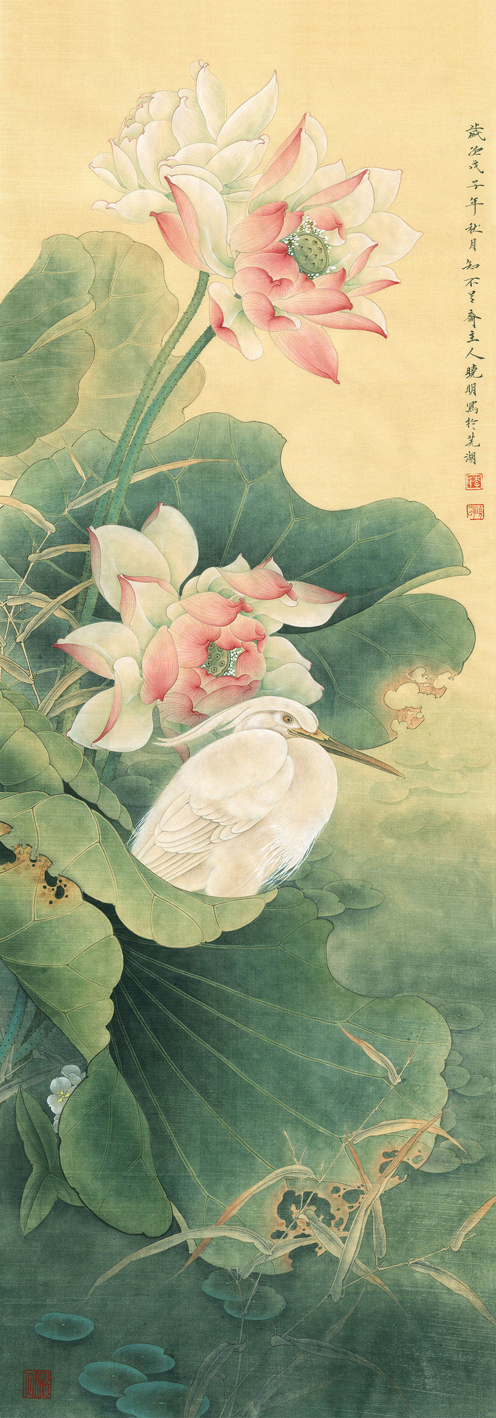 Bạch Lộ Tê Liên