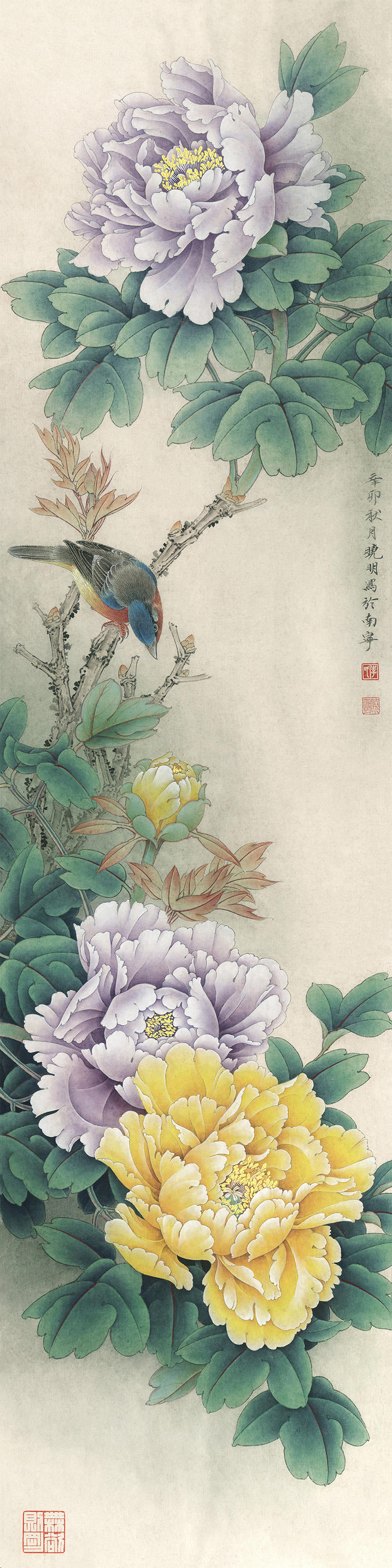 Mẫu Đơn Song Sắc