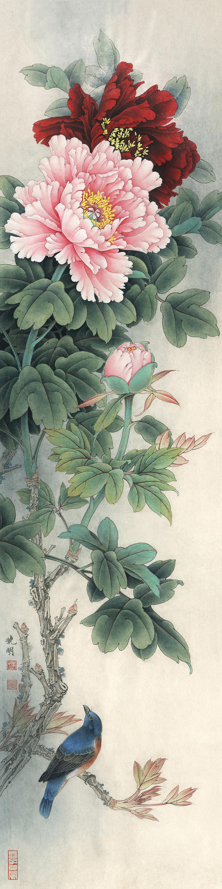 Song Kiều Khoe Sắc